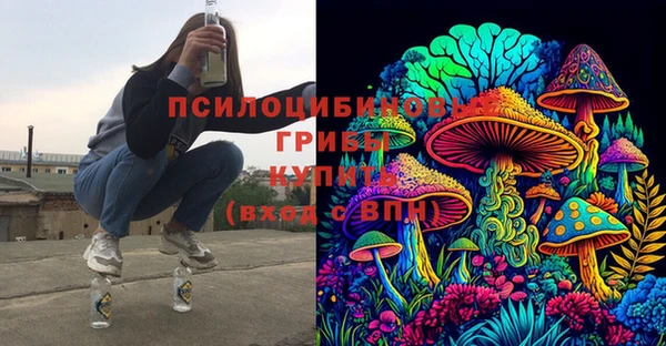 прущие крисы Верея